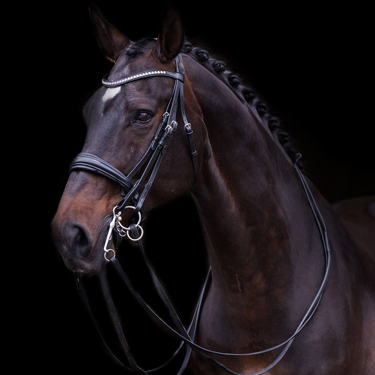 Imperial Riding Kandarenzaum IRHFria Imperial Riding Kandarenzaum IRHFria