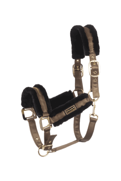 Halfter Kunstfell CAVALLYLOU HW 2024 Pferdehalfter Halfter Kunstfell CAVALLYLOU HW 2024 Pferdehalfter