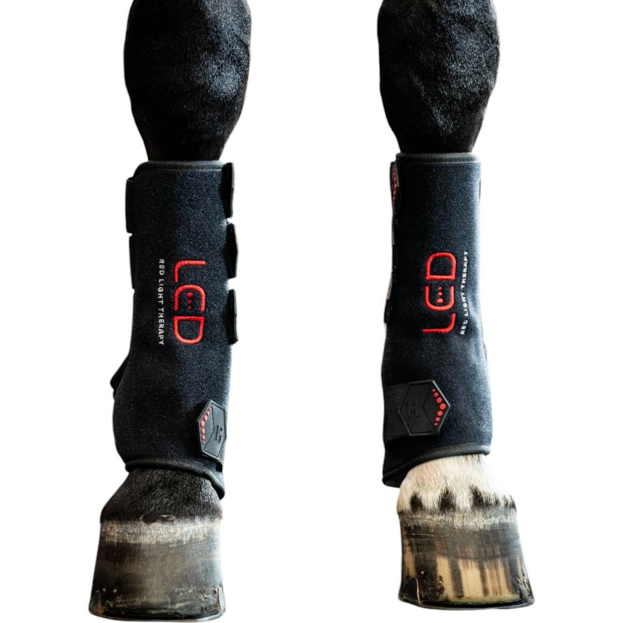 Horseware Ireland Therapiegamasche Vorderbein LED-Rotlicht-Therapie Gamaschen Horseware Ireland Therapiegamasche Vorderbein LED-Rotlicht-Therapie Gamaschen