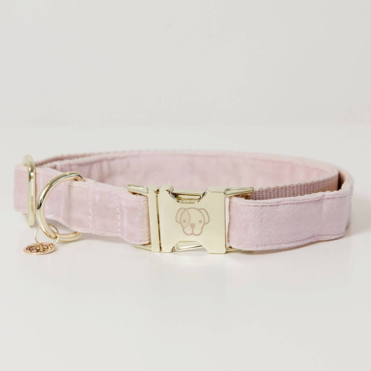 Kentucky Dogwear Hundehalsband Velvet Halsband Kentucky Dogwear Hundehalsband Velvet Halsband