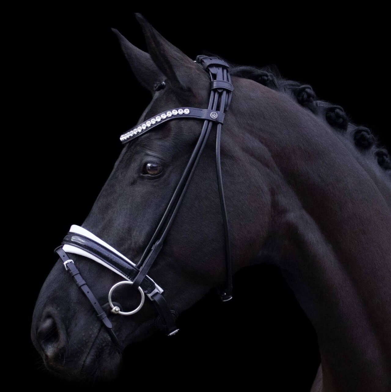 SD Design Trense Mystery Lack rundgenäht SD Design Trense Mystery Lack rundgenäht