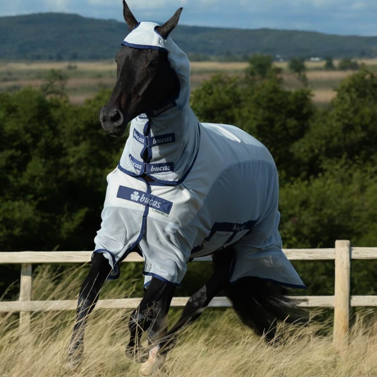 Bucas Ekzemerdecke Sweet-itch X light Bucas Ekzemerdecke Sweet-itch X light