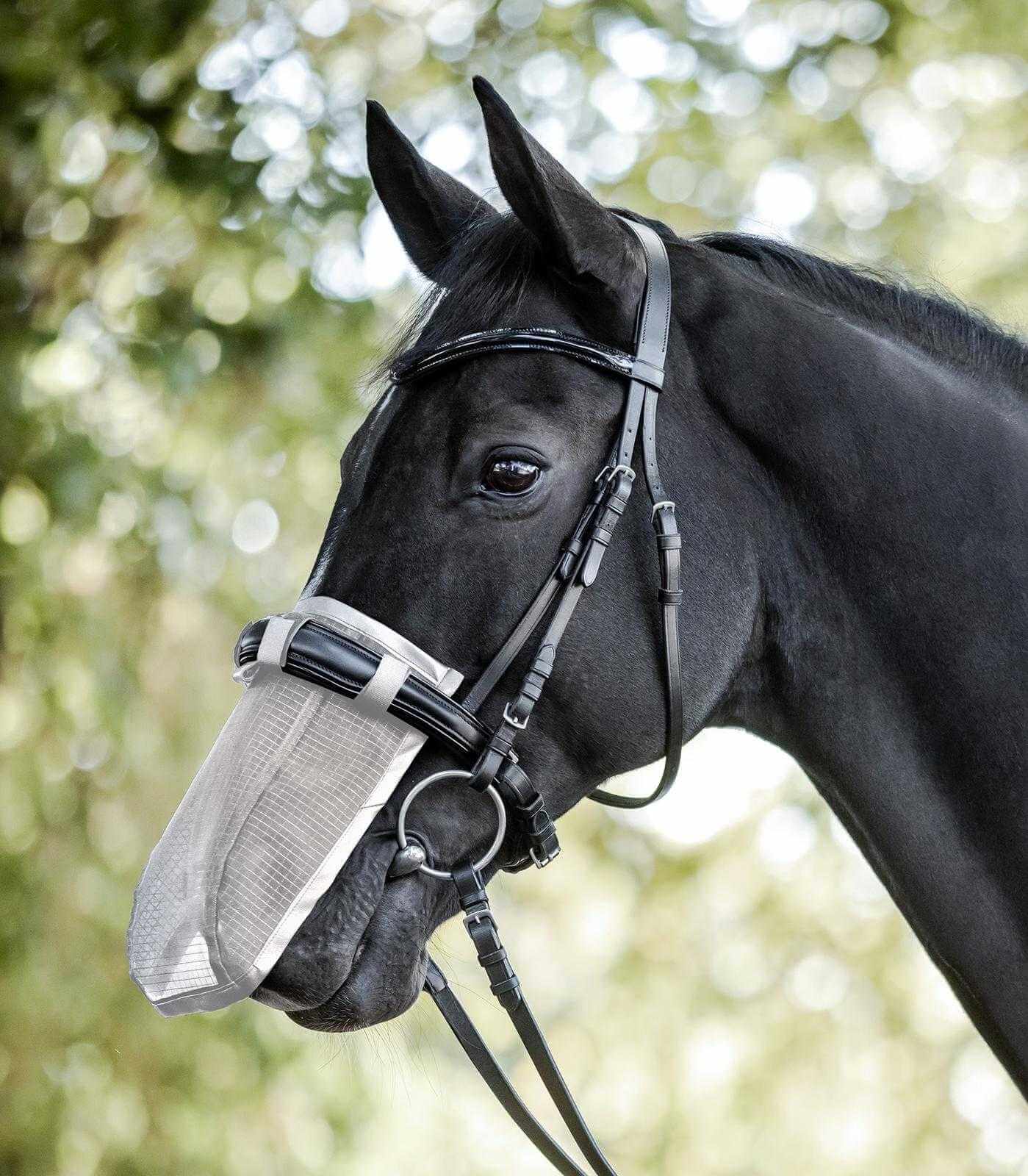 Waldhausen Fliegennasenschutz Silbergrau VB | kavalio - für mich und mein Pferd