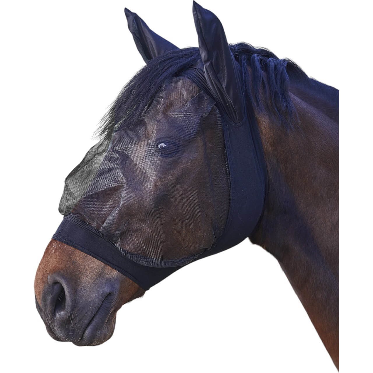 Waldhausen Fliegenmaske Skinny Fliegenschutz Schwarz XWB | kavalio - für mich und mein Pferd