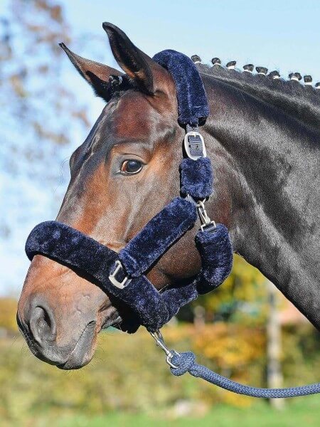 busse-halfter-guard-kunstfell-navy_2 busse-halfter-guard-kunstfell-navy_2
