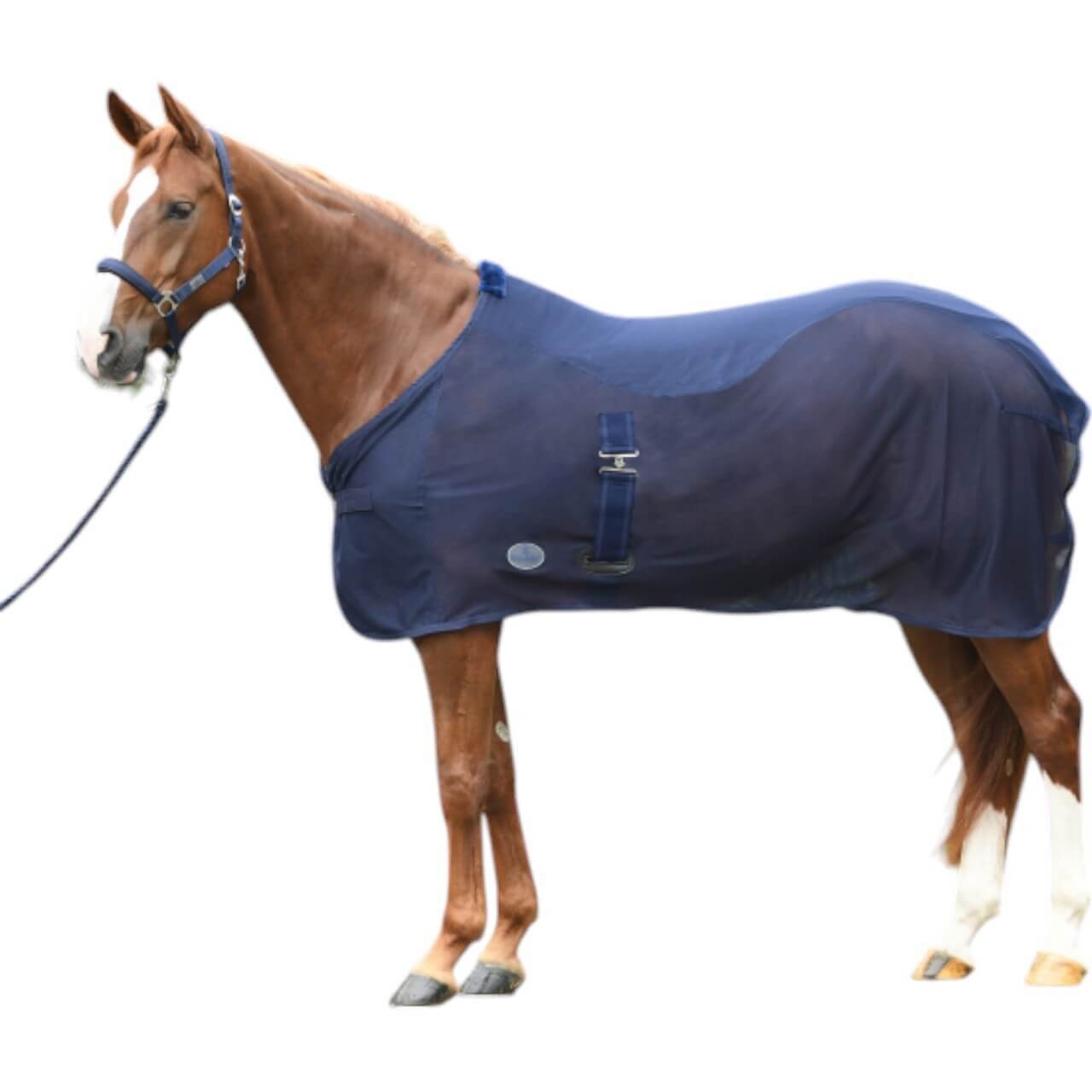 BUSSE Abschwitzdecke Summer-FLY Decke BUSSE Abschwitzdecke Summer-FLY Decke