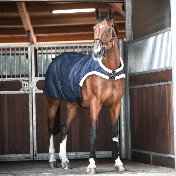 BUSSE Führanlagendecke Trainer 50 BUSSE Führanlagendecke Trainer 50