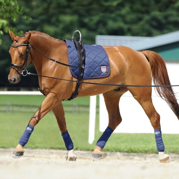 Gymnastikzügel Horst Becker Hilfszügel Gymnastikzügel Horst Becker Hilfszügel