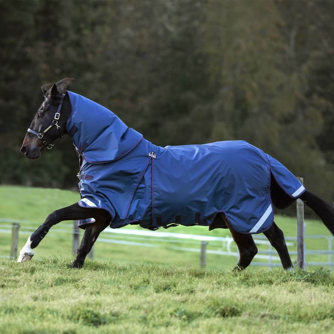 Horseware Ireland Outdoordecke 0g Rambo® Optimo Plus Regendecke Horseware Ireland Outdoordecke 0g Rambo® Optimo Plus Regendecke