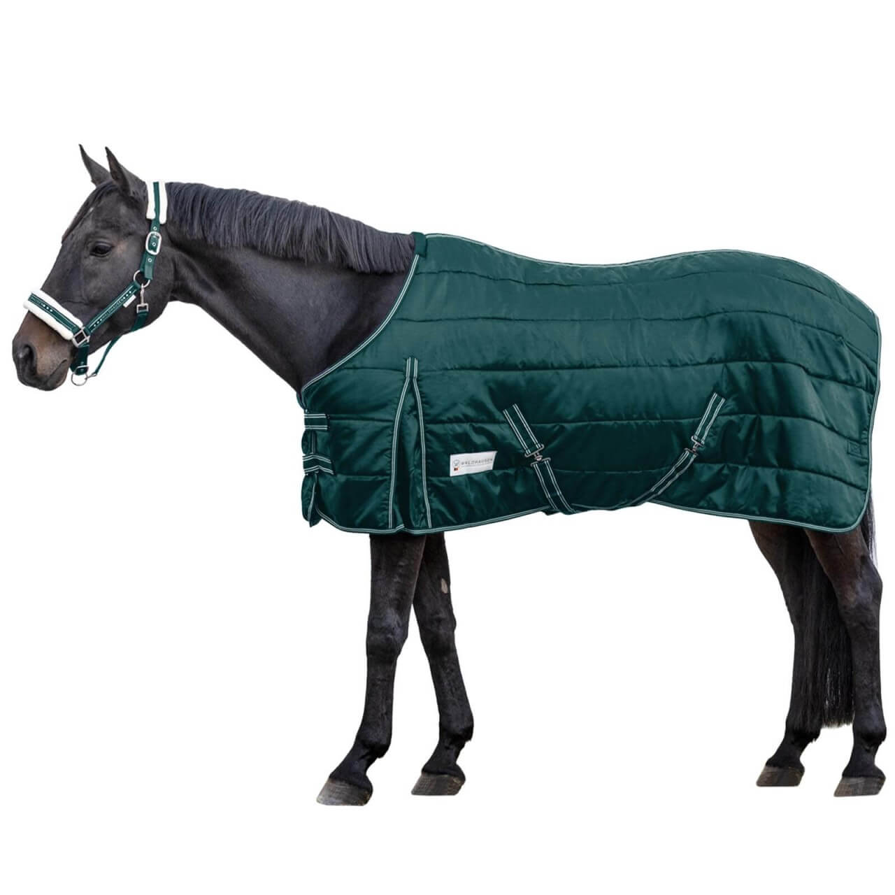 Waldhausen Stalldecke 100g Economic Waldhausen Stalldecke 100g Economic