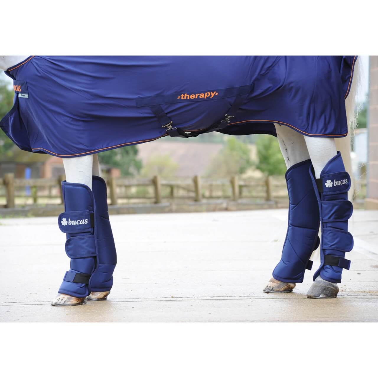 Bucas Transportgamaschen Boots 4-Set Bucas Transportgamaschen Boots 4-Set