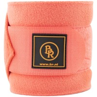 Faded Rose Faded Rose