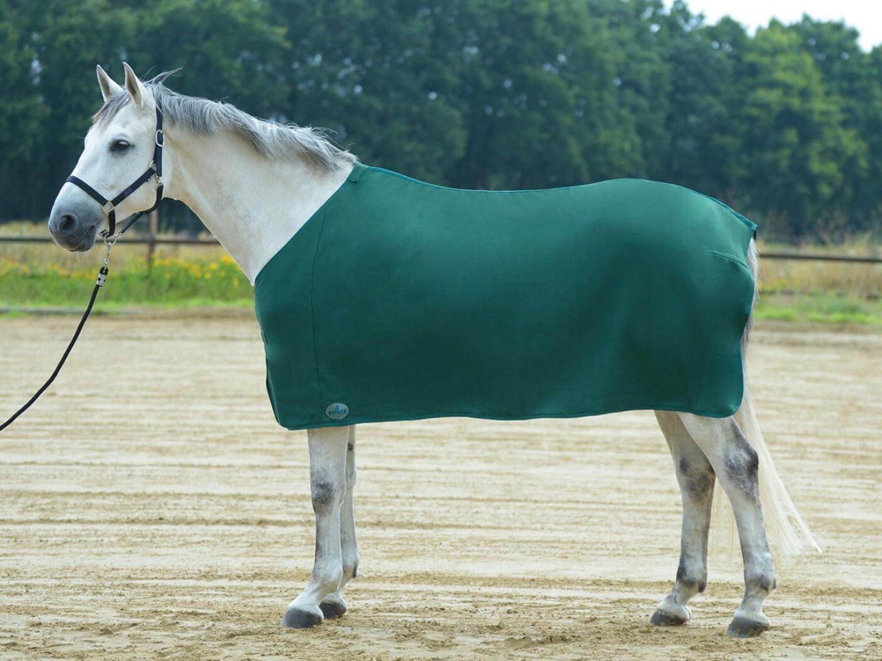 BUSSE Abschwitzdecke Basic II Funktionsmaterial BUSSE Abschwitzdecke Basic II Funktionsmaterial