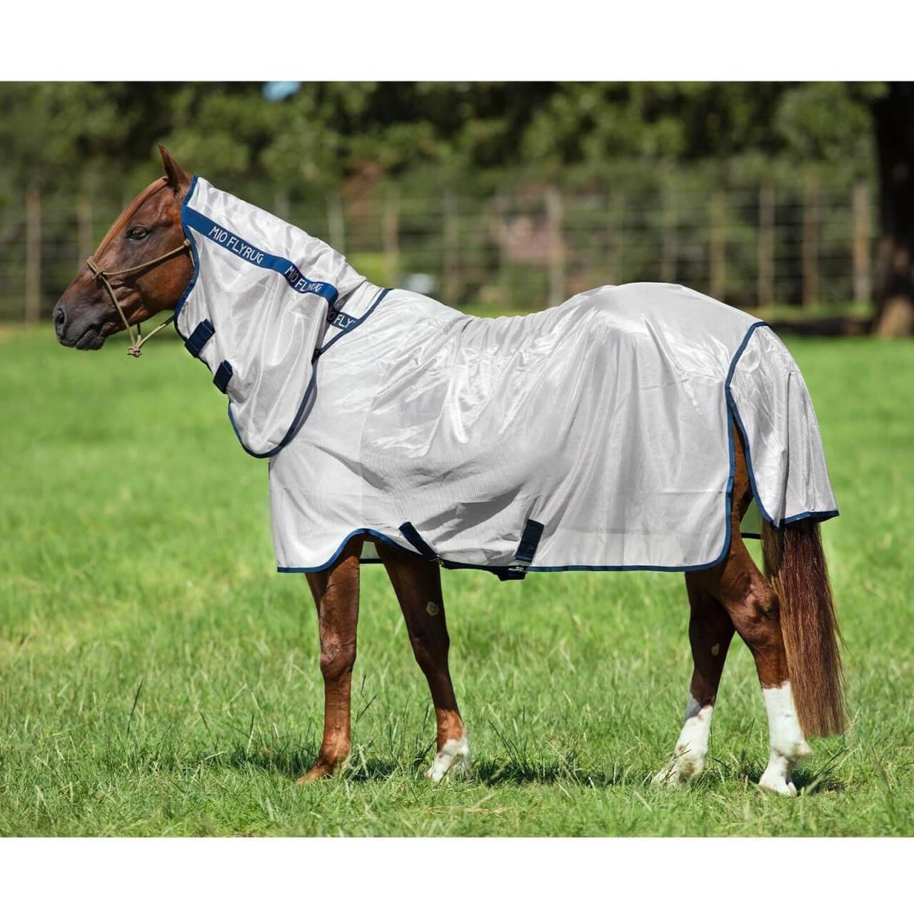 Horseware Ireland Fliegendecke Mio Fly Rug Horseware Ireland Fliegendecke Mio Fly Rug