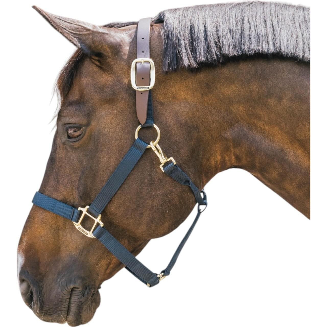 Kentucky Horsewear Halfter Breakaway Nylonhalfter Kentucky Horsewear Halfter Breakaway Nylonhalfter
