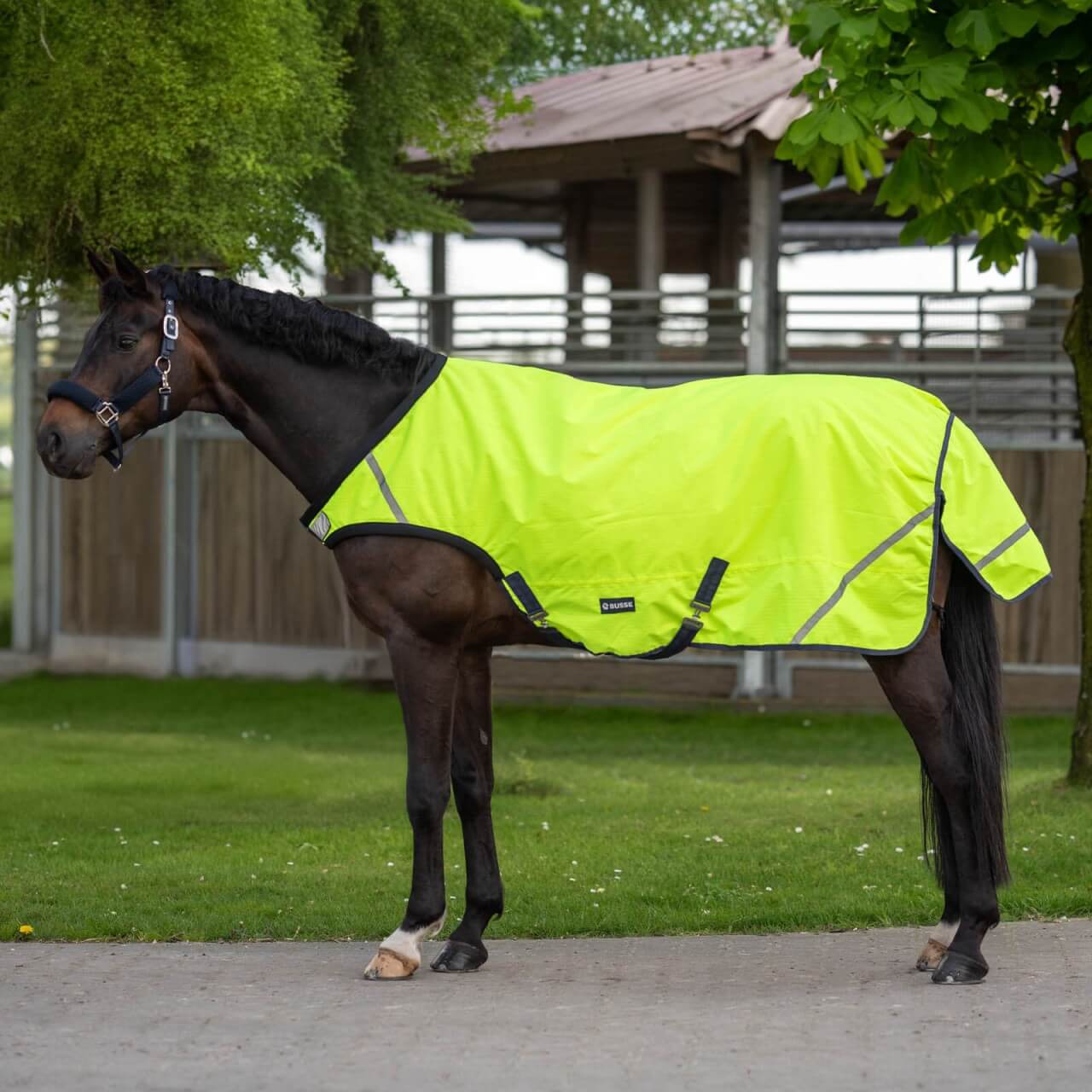 BUSSE Führanlagendecke Shine 50 Bewegungsdecke BUSSE Führanlagendecke Shine 50 Bewegungsdecke