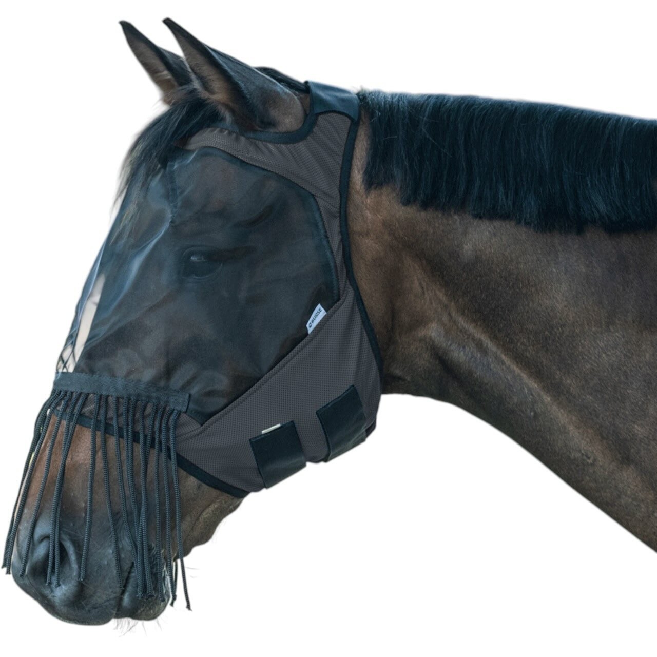 BUSSE Fliegenmaske Fly Guard Free FR Fliegenschutz BUSSE Fliegenmaske Fly Guard Free FR Fliegenschutz