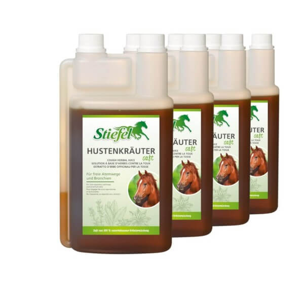 Hustenkräutersaft Pferd Nahrungsergänzung Atemwege 3+1 Hustenkräutersaft Pferd Nahrungsergänzung Atemwege 3+1