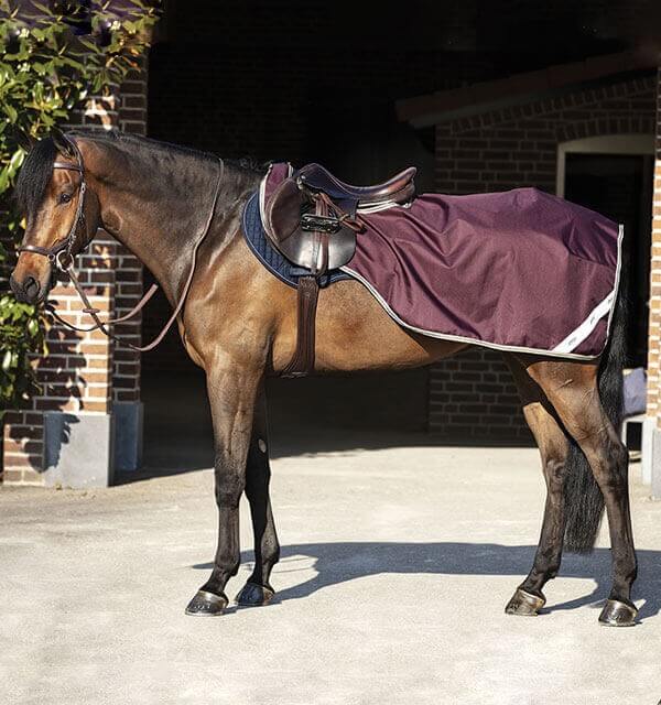 Horseware Ireland Ausreitdecke Amigo Ripstop Competition Sheet Horseware Ireland Ausreitdecke Amigo Ripstop Competition Sheet