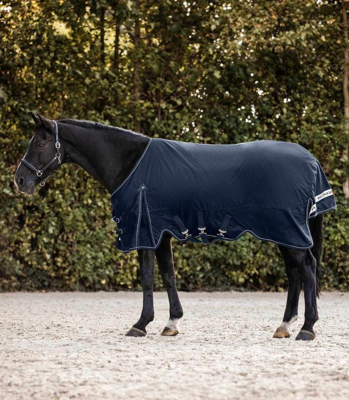 Waldhausen Outdoordecke 50g Scandic Weidedecke Waldhausen Outdoordecke 50g Scandic Weidedecke