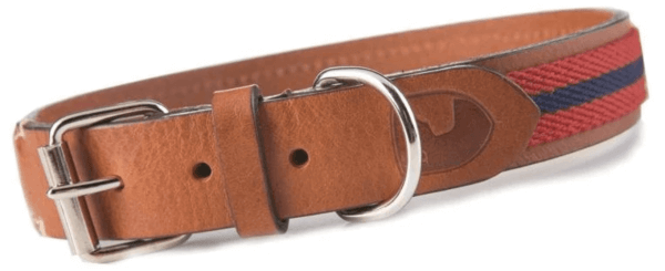 Hundehalsband Baseball Hundehalsband Baseball