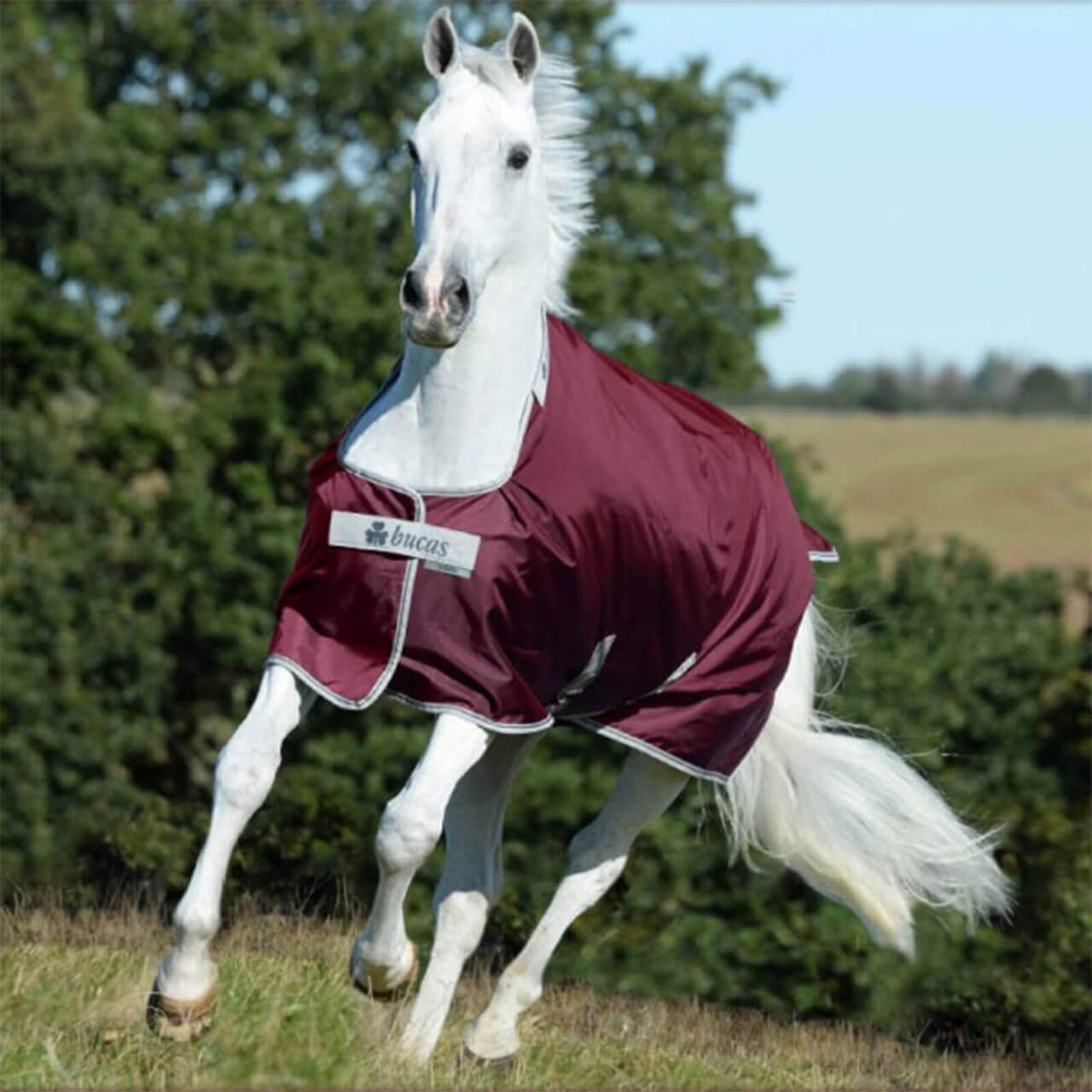 Bucas Outdoordecke 150g Atlantic Turnout Exclusive Weidedecke Bucas Outdoordecke 150g Atlantic Turnout Exclusive Weidedecke