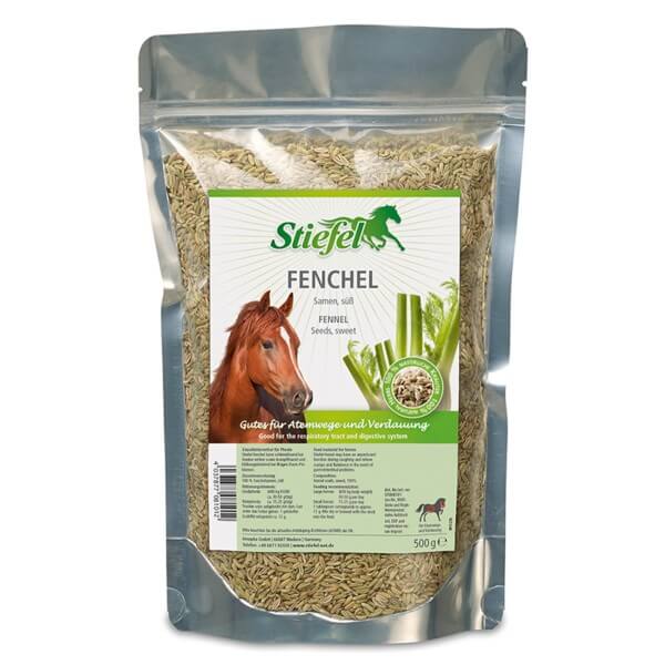 Fenchel Samen Zusatzfutter Nahrungsergänzungsmittel Fenchel Samen Zusatzfutter Nahrungsergänzungsmittel