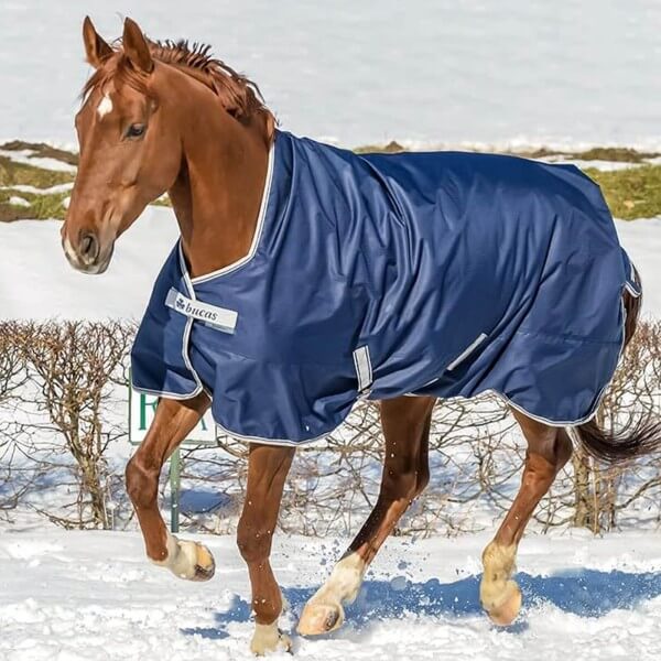 Outdoordecke 150g Freedom Turnout High Neck Weidedecke Outdoordecke 150g Freedom Turnout High Neck Weidedecke