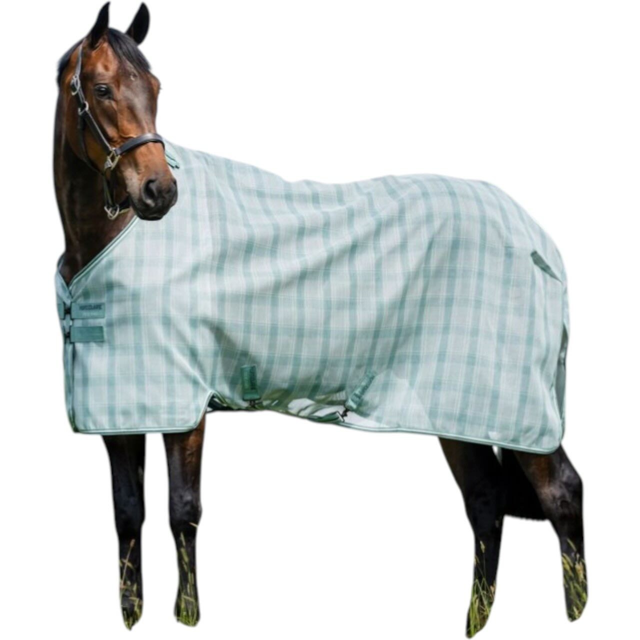 Horseware Ireland Fliegendecke Newmarket Fliegenschutz Horseware Ireland Fliegendecke Newmarket Fliegenschutz