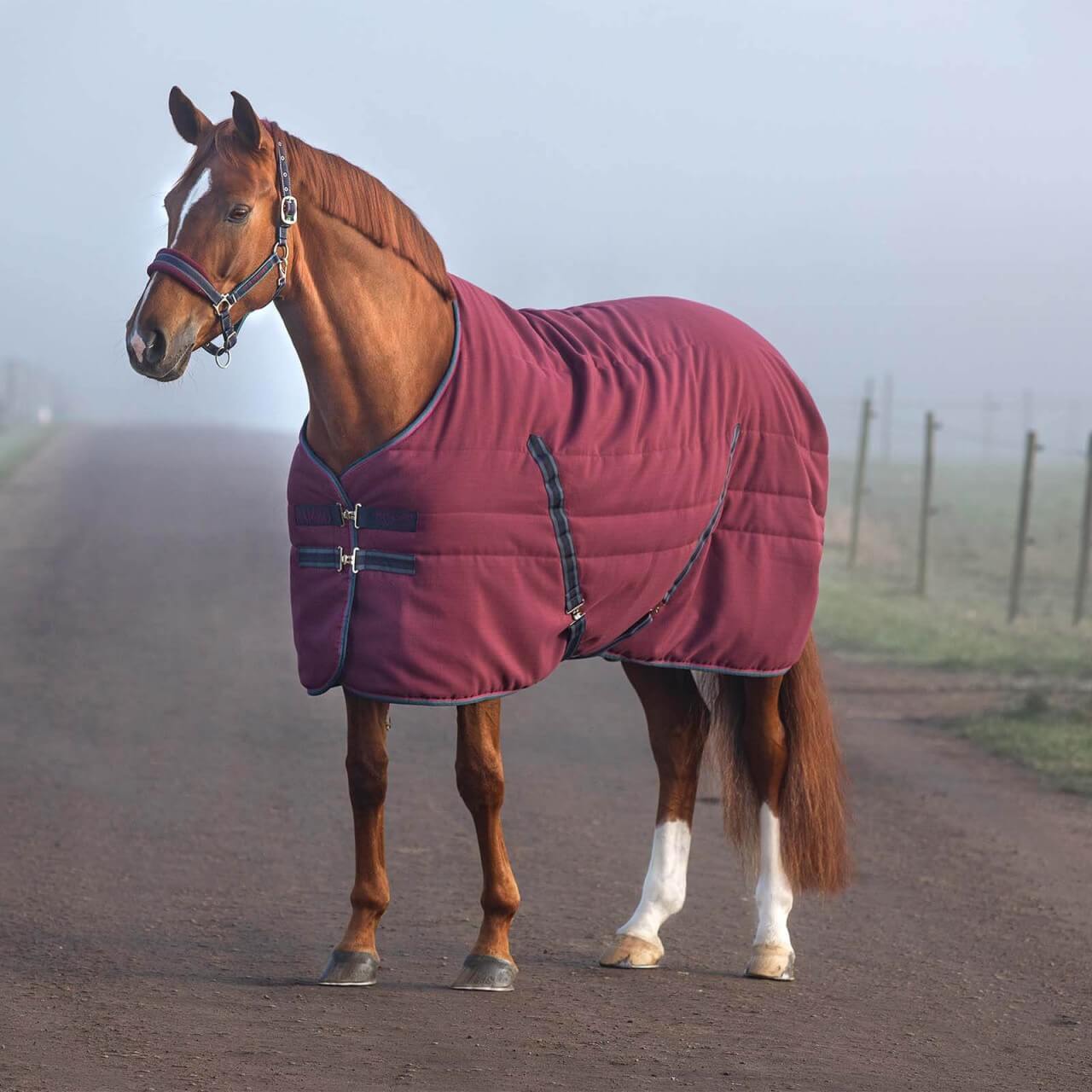 Horseware Ireland Stalldecke 100g Rambo Stable Rug Winterdecke Horseware Ireland Stalldecke 100g Rambo Stable Rug Winterdecke