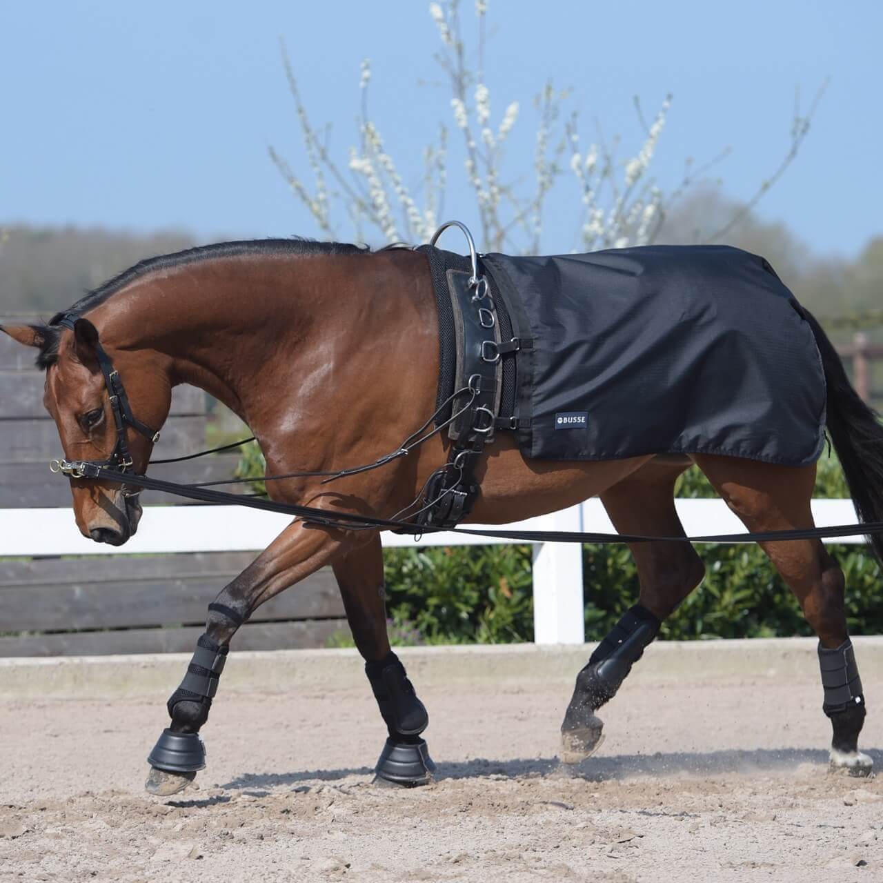 BUSSE Longierdecke Rain 50 BUSSE Longierdecke Rain 50