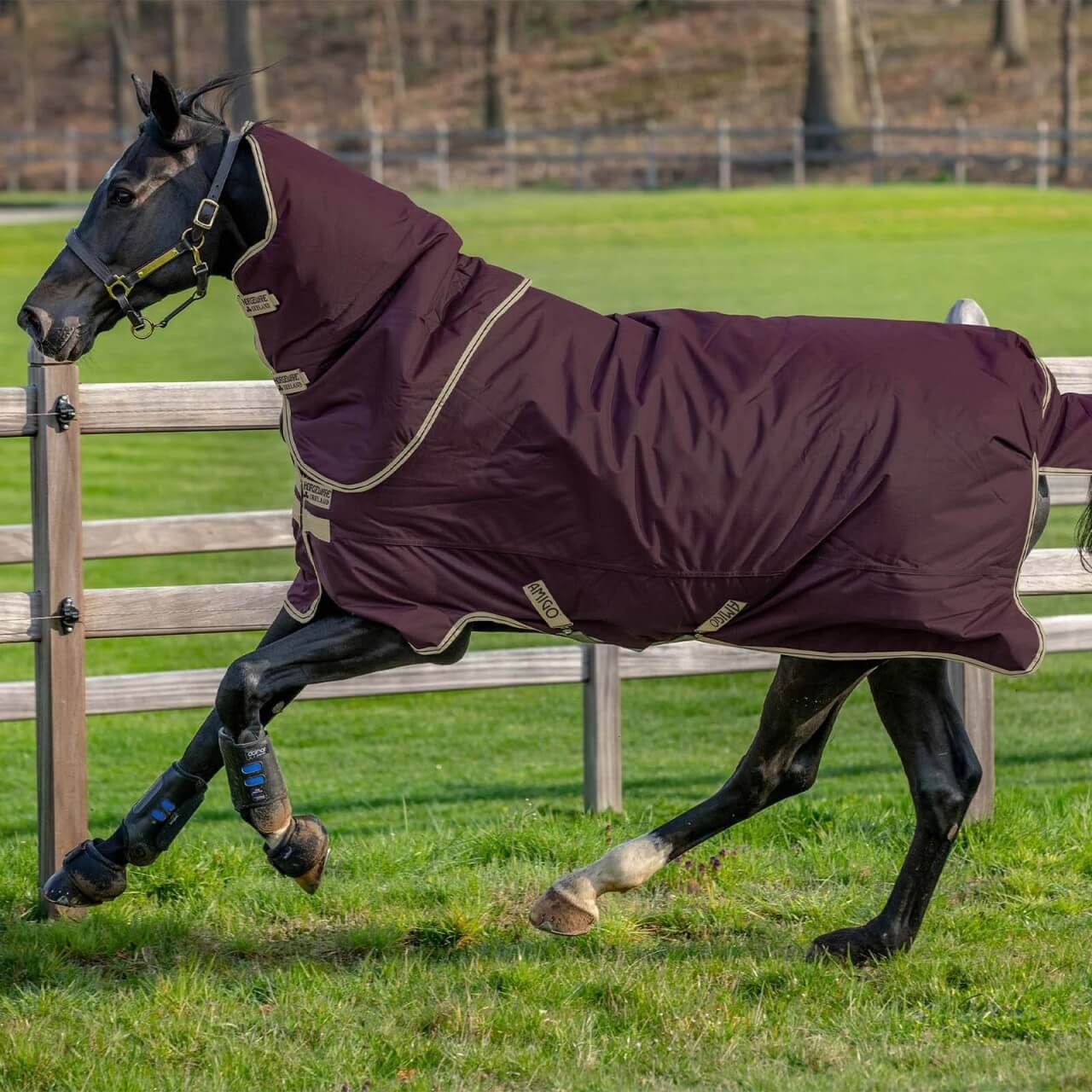 Horseware Ireland Outdoordecke 0g Amigo® Hero Ripstop Plus Lite Regendecke Horseware Ireland Outdoordecke 0g Amigo® Hero Ripstop Plus Lite Regendecke