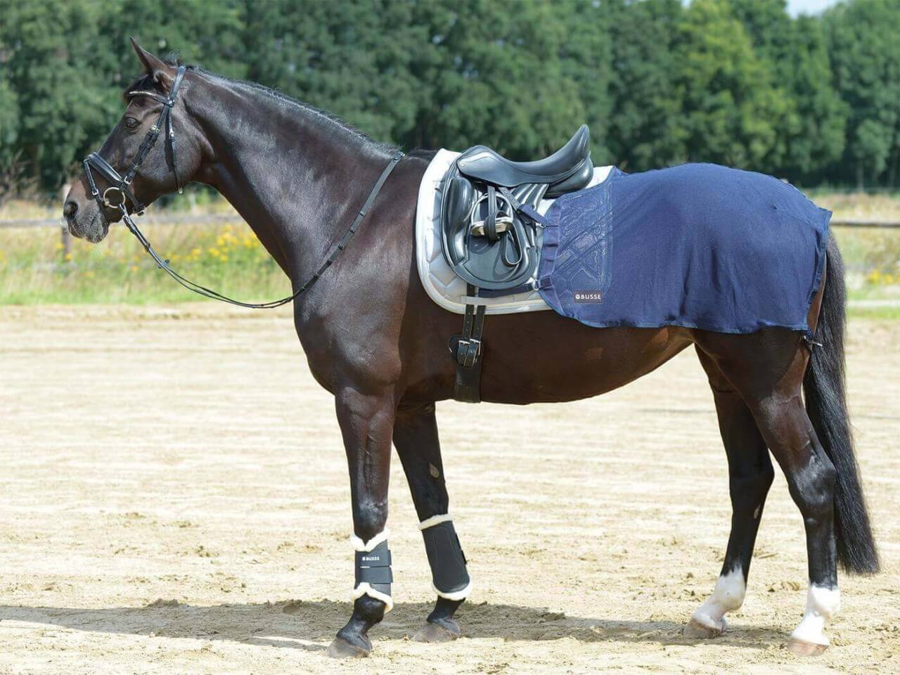 BUSSE Trainingsdecke Fly Fliegendecke BUSSE Trainingsdecke Fly Fliegendecke