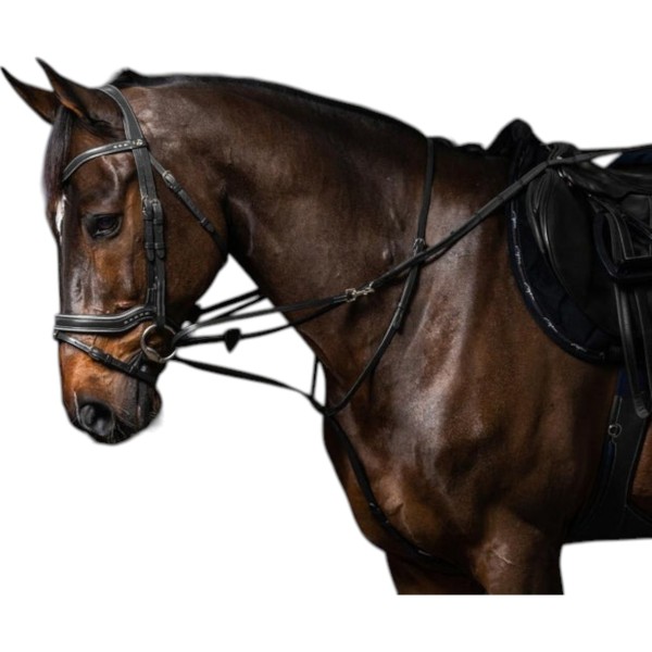 Schlaufzügel Howlett Working Collection Thiedemann Ausbinder Schlaufzügel Howlett Working Collection Thiedemann Ausbinder