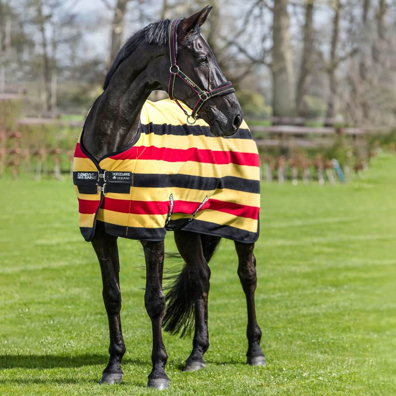 Horseware Ireland Thermo- und Abschwitzdecke Rambo Deluxe Fleece Horseware Ireland Thermo- und Abschwitzdecke Rambo Deluxe Fleece