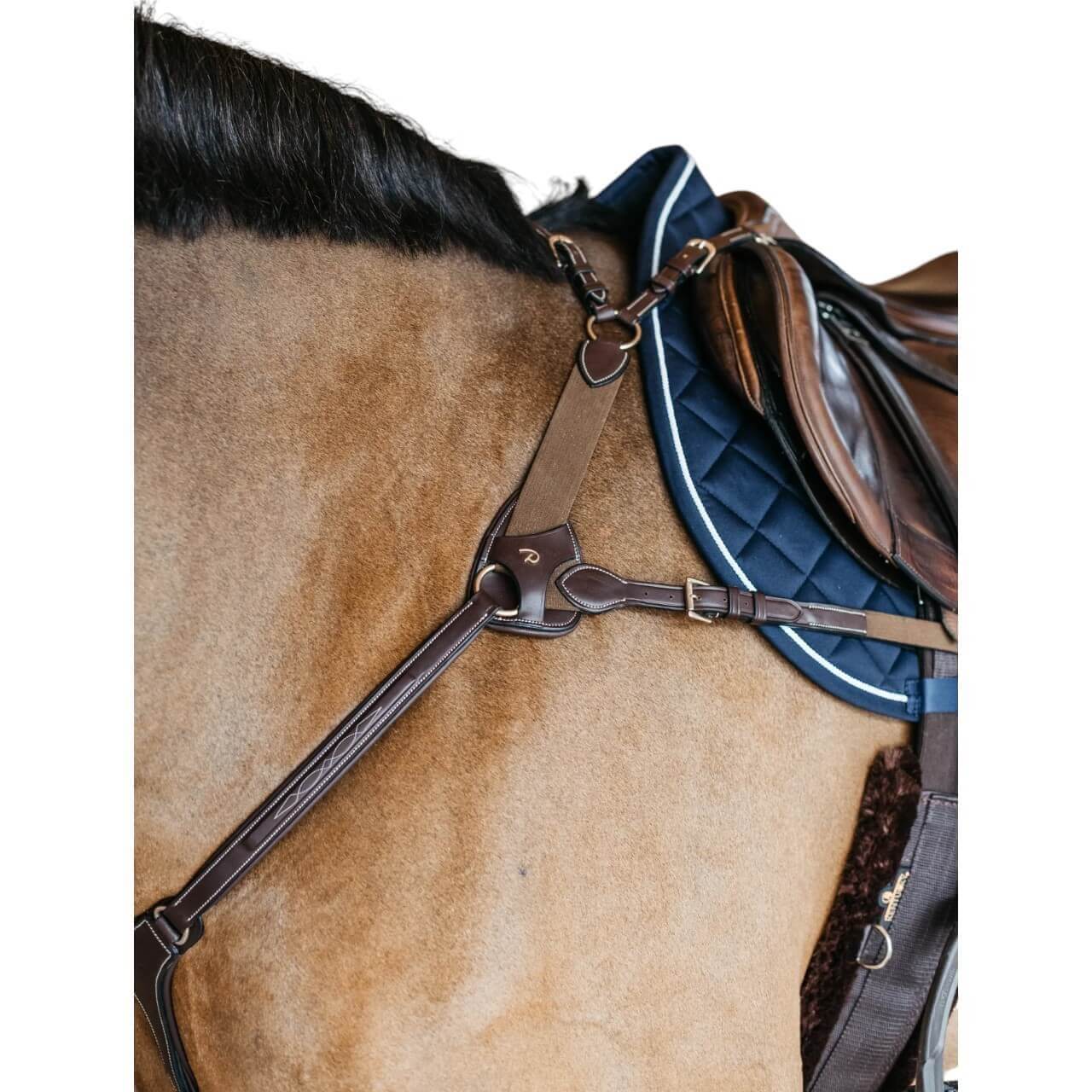 Dy´on Vorderzeug 5-Punkt mit Elastik D-Collection Dy´on Vorderzeug 5-Punkt mit Elastik D-Collection