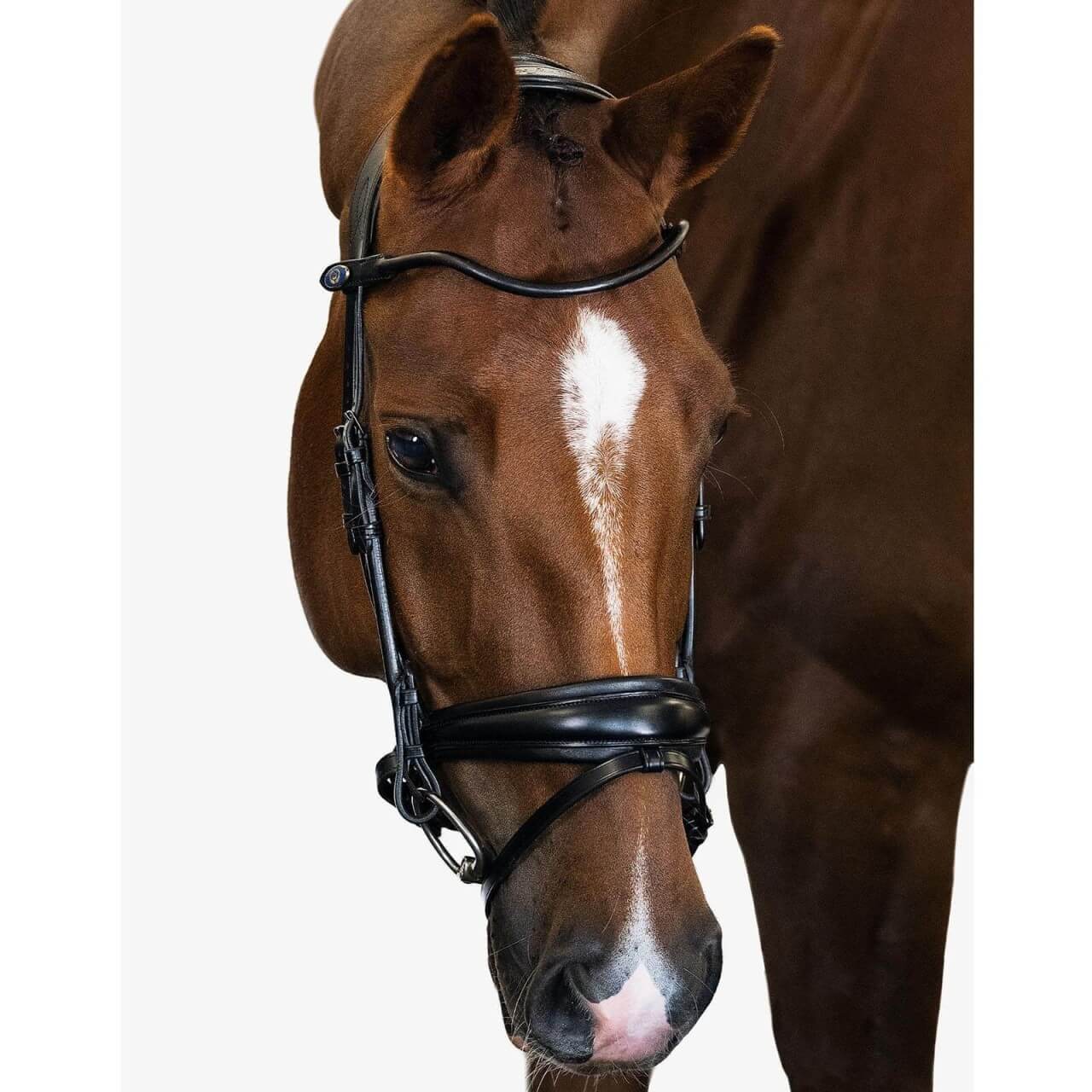 PS of Sweden Trense GP Trensenzaum PS of Sweden Trense GP Trensenzaum