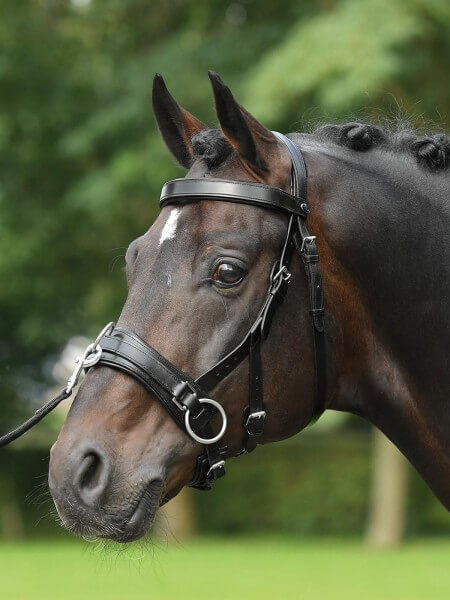 Kappzaum Fit Pro Leder Kappzaum Fit Pro Leder