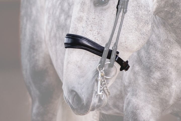 PS of Sweden Nasenriemen Passage PS of Sweden Nasenriemen Passage