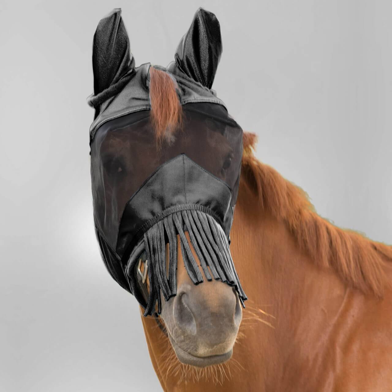 Waldhausen Fliegenmaske Premium mit Ohrenschutz und Nasenfransen Fliegenschutz Waldhausen Fliegenmaske Premium mit Ohrenschutz und Nasenfransen Fliegenschutz