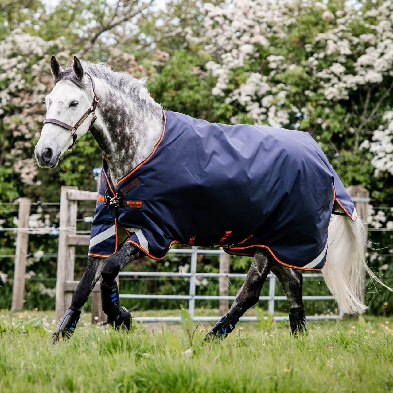 Horseware Ireland Outdoordecke 100g Rambo® Original mit Beinausschnitt Weidedecke Horseware Ireland Outdoordecke 100g Rambo® Original mit Beinausschnitt Weidedecke