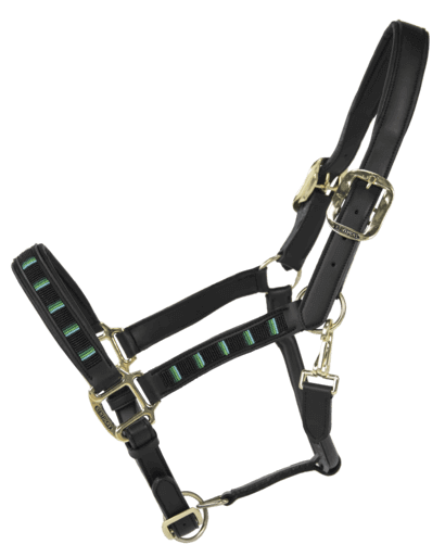 Kentucky Horsewear Halfter Pearls Stallhalfter Kentucky Horsewear Halfter Pearls Stallhalfter