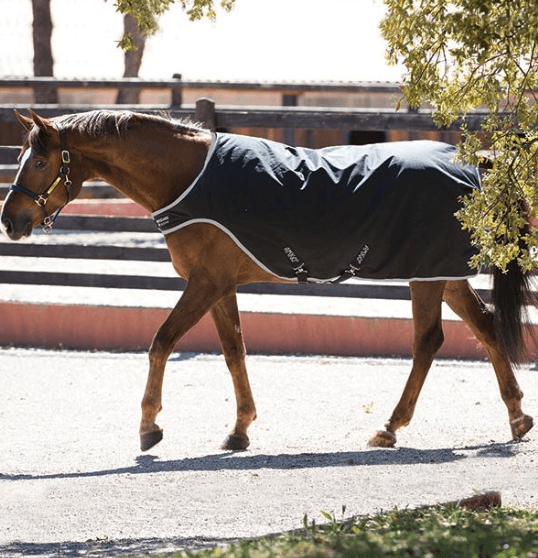 Horseware Ireland Führanlagendecke 200g Walker Rug Amigo Horseware Ireland Führanlagendecke 200g Walker Rug Amigo