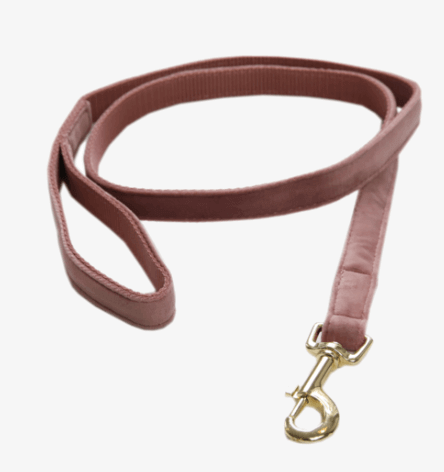 Kentucky Dogwear Hundeleine Velvet 120 cm Size L Kentucky Dogwear Hundeleine Velvet 120 cm Size L