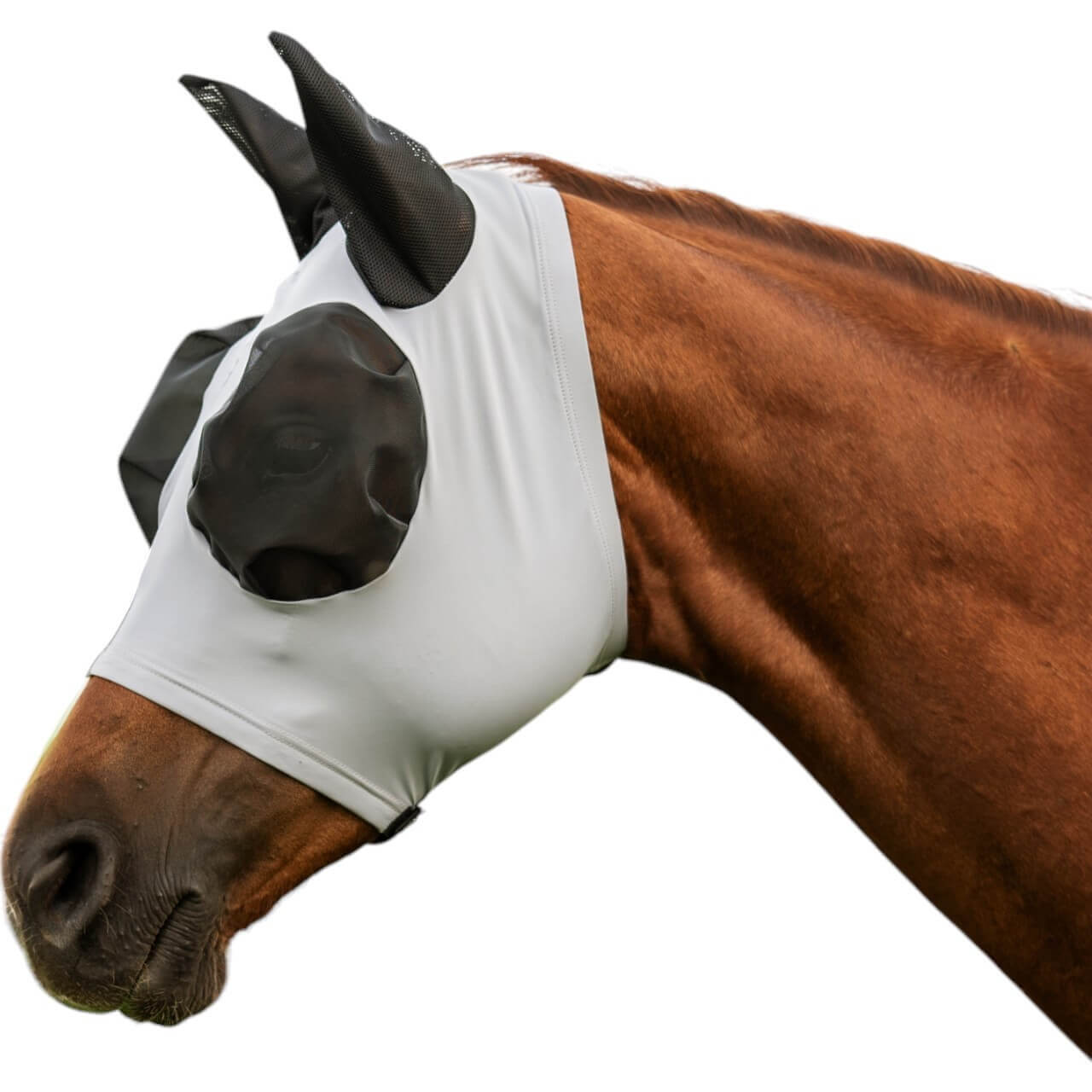 BUSSE Fliegenmaske Twin Fit Flexi CL Fliegenschutz BUSSE Fliegenmaske Twin Fit Flexi CL Fliegenschutz