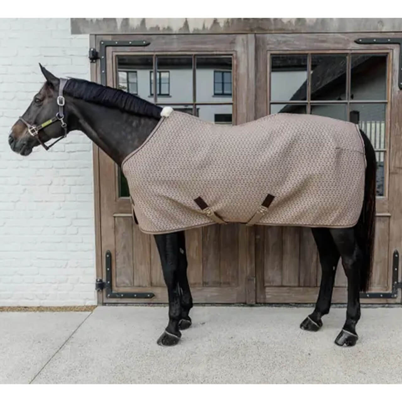 Kentucky Horsewear Abschwitzdecke 4D Spacer Fliegendecke Kentucky Horsewear Abschwitzdecke 4D Spacer Fliegendecke