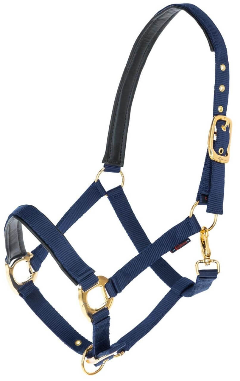 Covalliero Halfter TopLine Nylonhalfter Covalliero Halfter TopLine Nylonhalfter