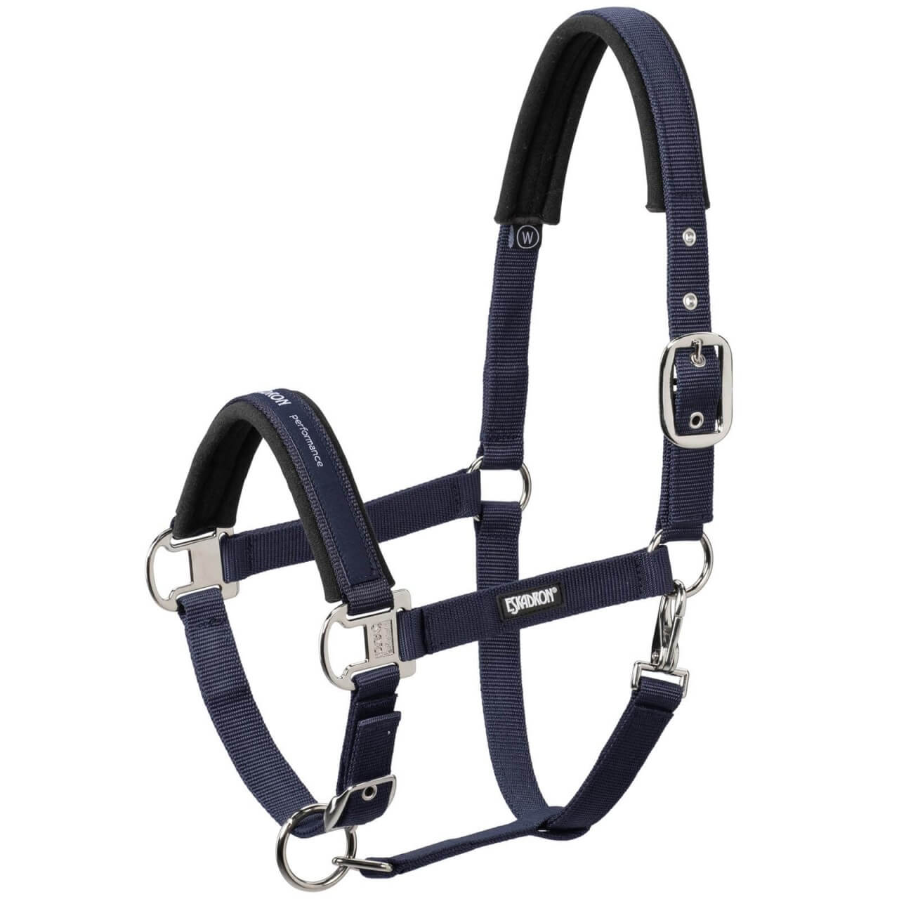 Eskadron Halfter Dornschnalle Basics Eskadron Halfter Dornschnalle Basics