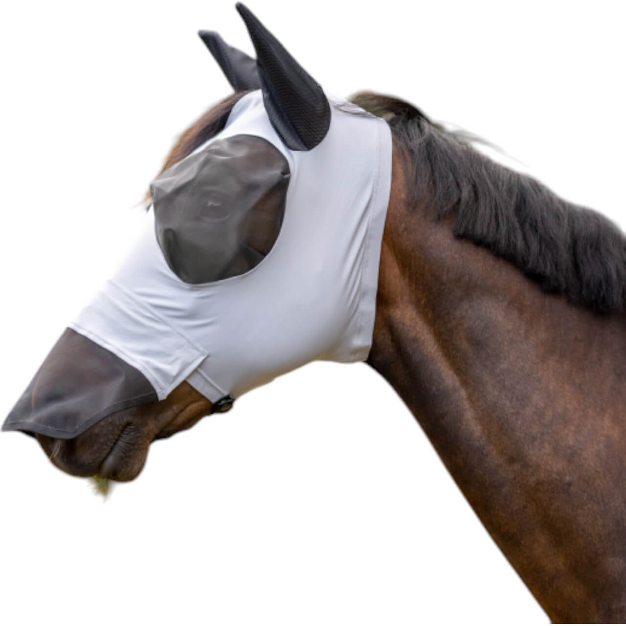 BUSSE Fliegenmaske Twin Fit Flexi Plus Fliegenschutz BUSSE Fliegenmaske Twin Fit Flexi Plus Fliegenschutz