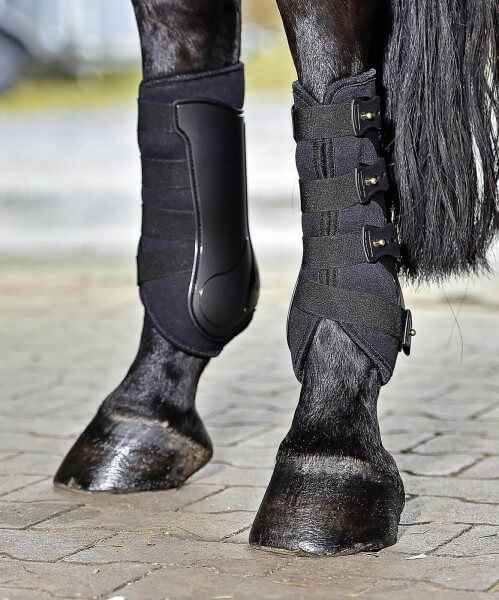 Gamaschen Dressage- Pro Beinschutz Gamaschen Dressage- Pro Beinschutz